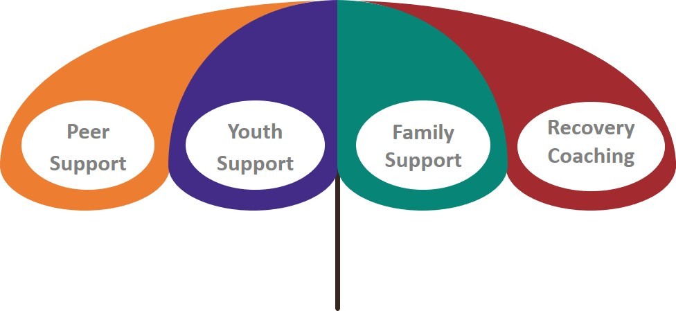 Support Systems